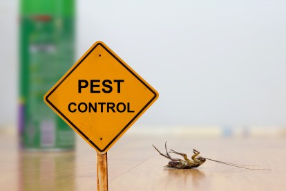 Pest Contol in Bethnal Green, E2. Call Now 020 8166 9746